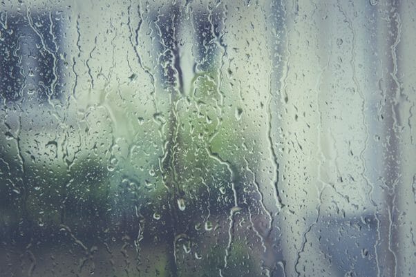 What causes condensation on windows and how to stop it - body image 2